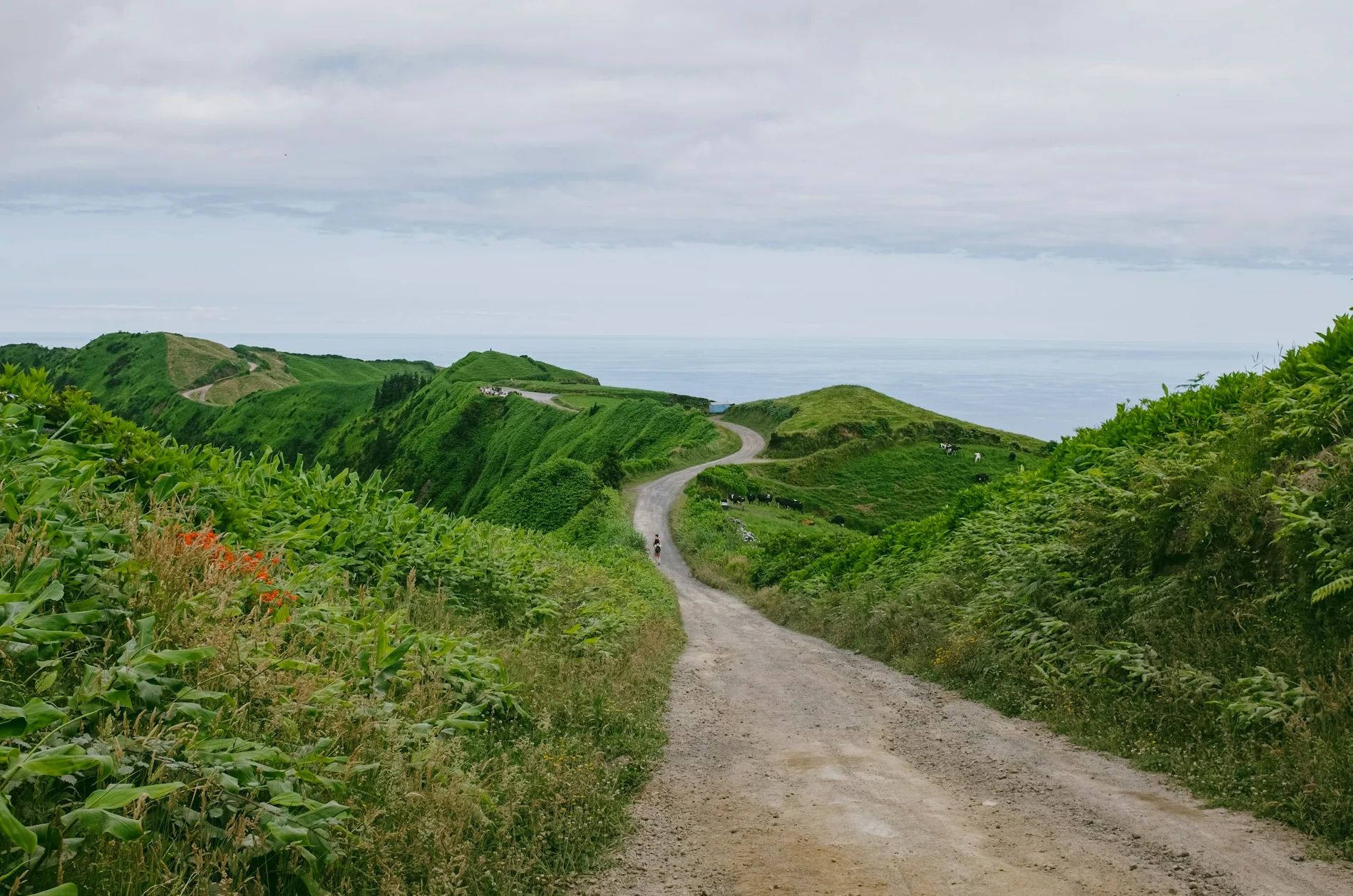 Wandelen | Rondreis Sao Miguel, Terceira & Faial